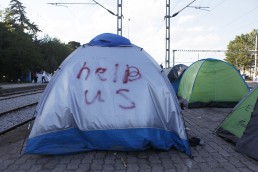 Quechua tent, Idomeni refugee Camp, Greece, May 2016.